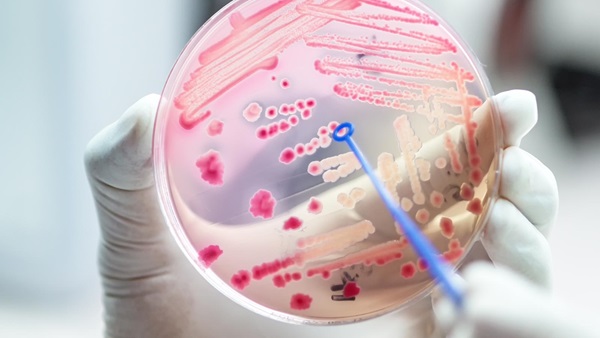 Campaña resistencia bacteriana